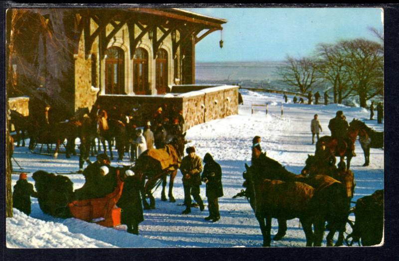 Winter Fun,Mount Royal,Montreal,Quebec,Canada BIN