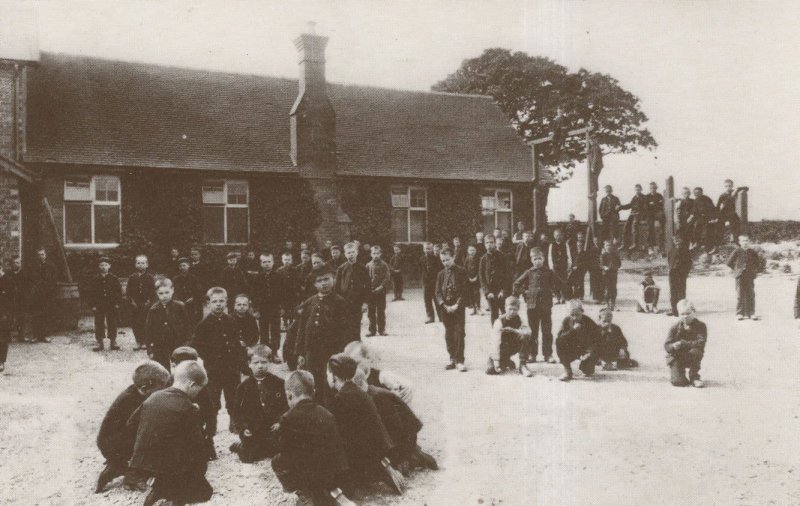 Standon Farm Staffordshire Postcard