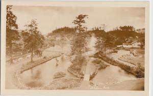 Alaska AK Postcard c1920-30 KETCHIKAN Real Photo RPPC Park Scene 