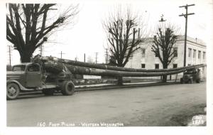 160 Foot Piling Western Washington WA Logging Truck Ellis Real Photo Postcard E7