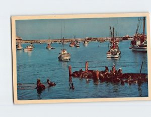 Postcard Inner Harbor Monterey Bay California USA