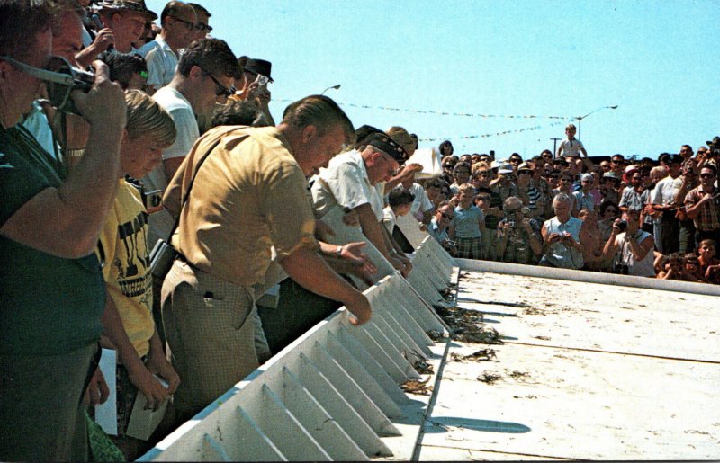 Maryland Cresfield Crab Derby Race