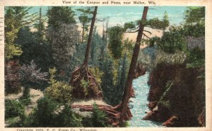 Vintage Postcard 1930's View Of The River Canyon And Pines Near Mellen Wisconsin