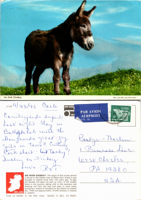 Ireland (22006