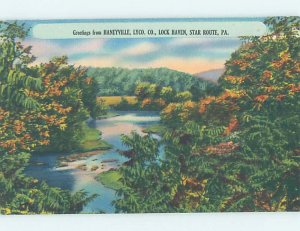 Linen NATURE Lock Haven by Bellefonte & Williamsport & State College PA AD4201