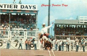 Rodeo, Bucking Bronco - Frontier Days at Cheyenne, Wyoming Vintage Postcard