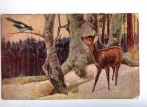 156664 Winter Hunt DEER & MAGPIE vintage color PC