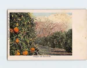 Postcard Oranges and Snowfields, California