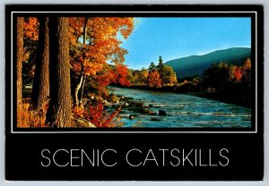 Fall Colors, River Scene, Scenic Catskills, New York, Chrome Postcard
