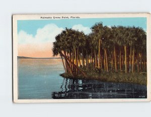 Postcard Palmetto Grove Point, Florida