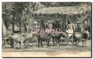Old Postcard Garden D Acclimatization of Paris Caravan Indian