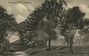 PC CPA SINGAPORE, THOMPSON ROAD, Vintage Postcard (b18752)