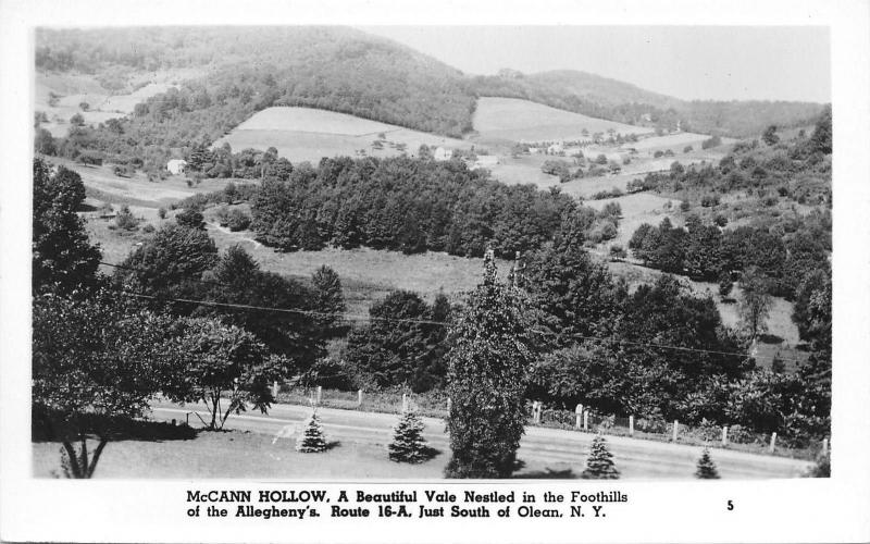 Olean New York~McCann Hollow~Allegheny Foothills~1950s Real Photo Postcard~RPPC 