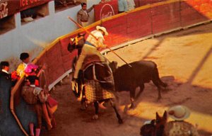 Bullfight, the Picing of the Bull from horseback Tarjeta Postal Bullfighting ...