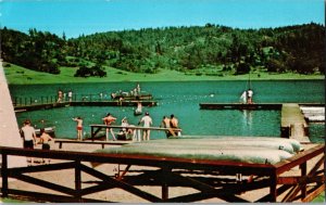 BOY SCOUT RESERVATION Willits California Vintage Postcard BAY AREA BOY SCOUTS K7