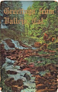 Greetings from Vallejo California 1900s POSTCARD to Williamson West Virginia