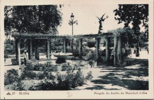 Algeria Blida Pergola du Jardin du Maréchal-Joffre Vintage Postcard C156