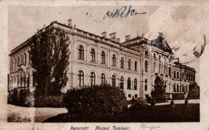 Romania Muzeul Zoologic Bucuresti Bucharest Vintage Postcard 08.72