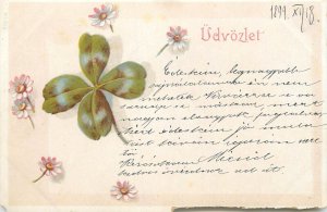 Holidays & celebrations 1900s greetings shamrock 1899 Hungary daisy