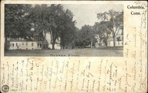 Columbia Connecticut CT Street Scene c1910 Vintage Postcard