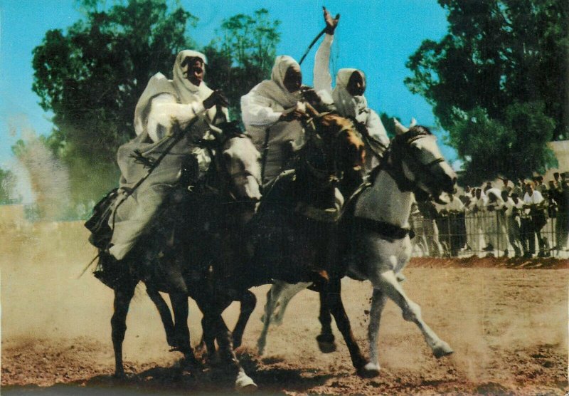 Libya libyan horsemen race postcard