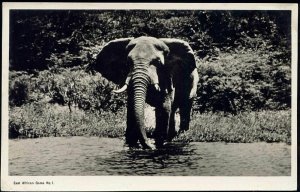 kenya, East African Game, ELEPHANT (1930s) Estaf RPPC