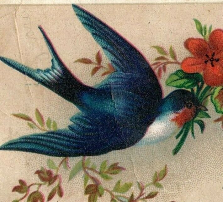 1880s Victorian Reward Of Merit Cards Birds Pansies Swan Ship Lot Of 10 7D