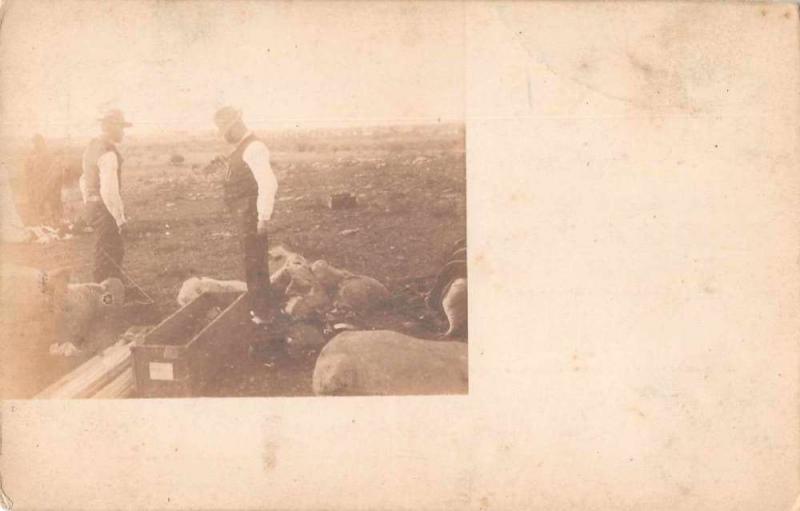 Uruguay Camping Farming Scene Real Photo Antique Postcard J72218