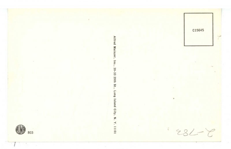 Cats - Purrfect Angel