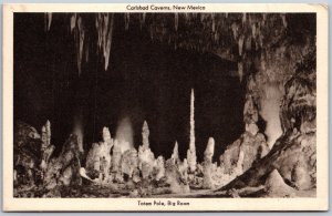 Vtg New Mexico NM Totem Pole Big Room Carlsbad Caverns National Park Postcard