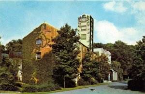 Lynchburg Tennessee 1970s Postcard Jack Daniel's Hollow Whiskey Distillery