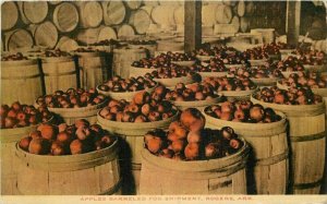 Rogers Arkansas C-1910 Farm Agriculture Apples Postcard Morgan's 21-9147