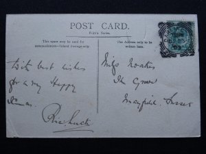 County Durham DARLINGTON PARK c1903 Postcard by Frith