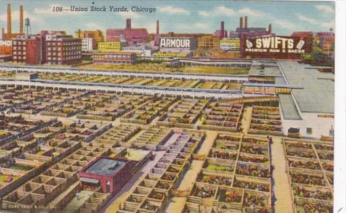 Illinois Chicago Union Stock Yards Cattle Pens 1955 Curteich