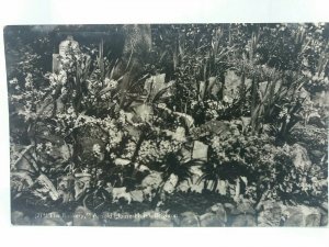 The Rockery Arnold House Hotel Brighton Sussex Vintage Real Photo Postcard