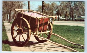 Red River Cart Replica Portage la Prairie MANITOBA Canada Postcard