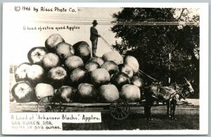 VAN BUREN AR GOOD APPLES EXAGGERATED VINTAGE REAL PHOTO POSTCARD RPPC