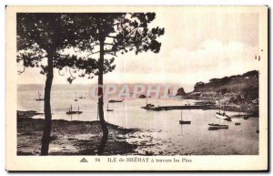 Old Postcard Island Brehat through the Pines