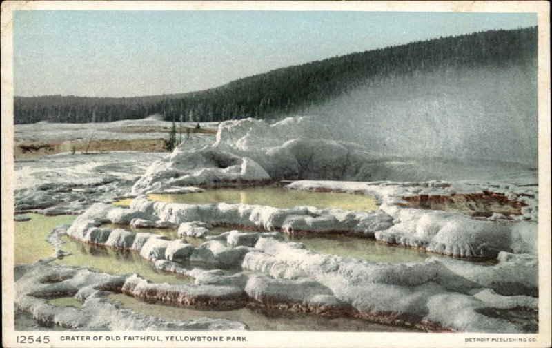 Yellowstone Park Wyoming WY Old Faithful 12545 Detroit Publishing c1910 Postcard