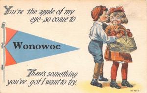 The Apple of My Eye in Wonowoc Wisconsin~Girl With Basket~1914 Pennant PC