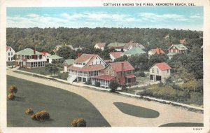 COTTAGES AMONG THE PINES REHOBOTH BEACH DELAWARE POSTCARD (1920s)