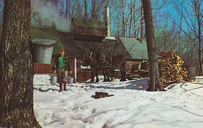 Maple Sugar Time in Vermont - Horses and Sugar House