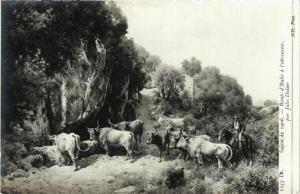 CPA AK Salon de 1906 J. DIDIER Boeufs d'Italie a l'abreuvoir (707141)