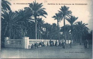 Algeria Touggourt Jardins de la Commune de Touggourt Vintage Postcard 09.51