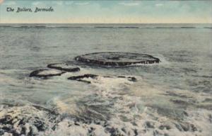 Bermuda The Boilers