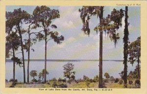 Florida Mount Dora View Of Lake Dora From The Castle Dexter Press