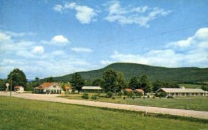 Vermonter - Bennington