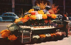 Vintage Postcard Flower Stand Enhance Busy Corners Of San Francisco California