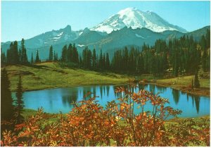 Vintage Postcard Distant View Mount Rainier National Park Tipsoo Ashford WA