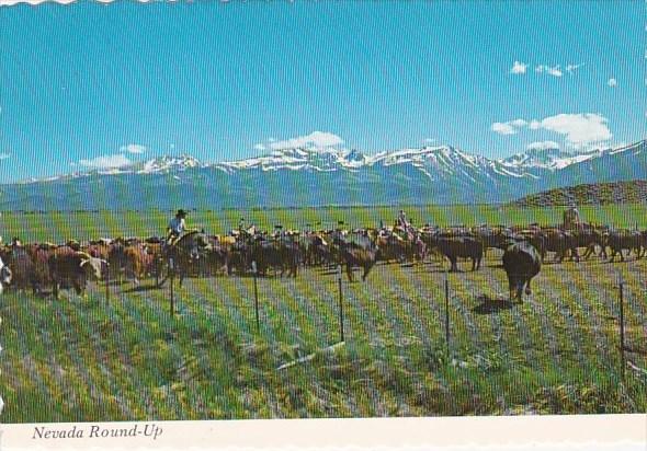 Nevada Round Up Bringing The Herd To Lower Pastures After The First Snowa In ...